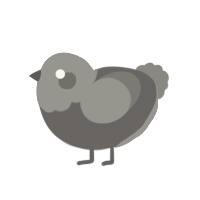 A grey and ash chicken with a head pattern