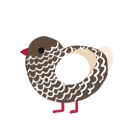 A bark and cream chicken with a lace pattern