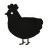 Blackstar, a black chicken with a head pattern