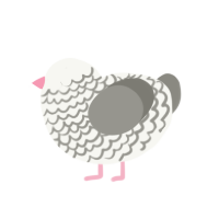 A white and ash chicken with a lace pattern