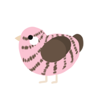 A rose and bark chicken with a bar pattern