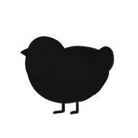 A black chicken with a head pattern