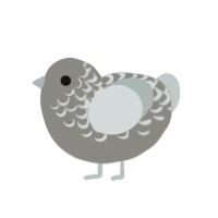 A ash and silver chicken with a half-lace pattern
