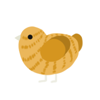 A honey and ochre chicken with a bar pattern