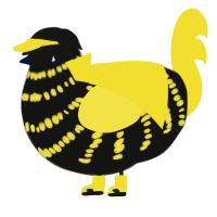 A black and yellow chicken with a bar pattern