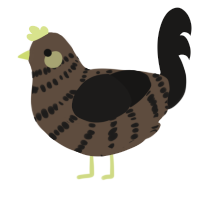 A bark and sable chicken with a bar pattern