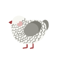 A white and ash chicken with a lace pattern