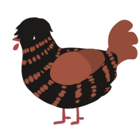 Hei, a sable and russet chicken with a bar pattern