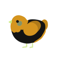 Bumblebee, a black and ochre chicken with a bar pattern