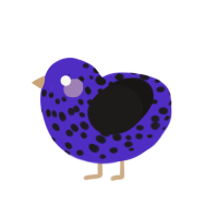 A indigo and sable chicken with a speckle pattern