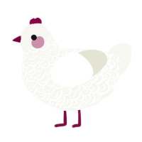 A white chicken with a double-lace pattern
