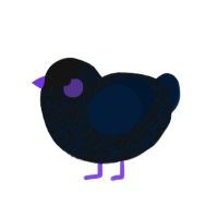 (unnamed), a black and tumblr chicken with a double-lace pattern