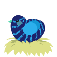 A navy and sky chicken with a bar pattern