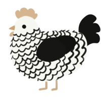 A white and black chicken with a lace pattern