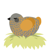 A ash and orange chicken with a lace pattern