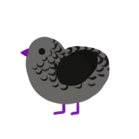 The Pigeon, a grey and black chicken with a half-lace pattern