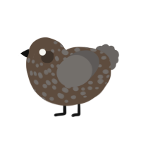 A bark and grey chicken with a speckle pattern
