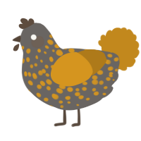 A grey and ochre chicken with a speckle pattern
