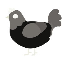 A black and grey chicken with a head pattern