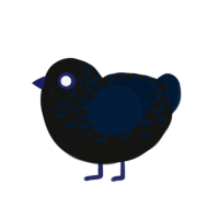 A black and tumblr chicken with a half-lace pattern