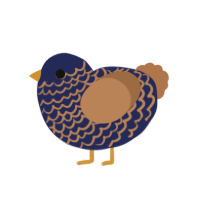 A navy and brown chicken with a lace pattern