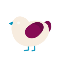 A cream and wine chicken