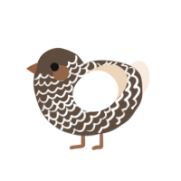 A bark and cream chicken with a lace pattern