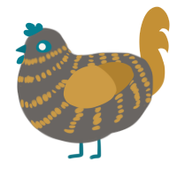 A grey and gold chicken with a bar pattern