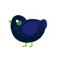 A tumblr and navy chicken with a half-lace pattern