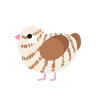 A cream and brown chicken with a bar pattern