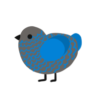 Cr0w3na Mcl30d, a grey and sapphire chicken with a lace pattern