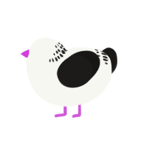 A white and sable chicken with a neck-band pattern