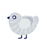 (unnamed), a mist chicken with a bar pattern