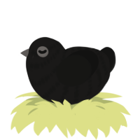 A sable and black chicken with a bar pattern