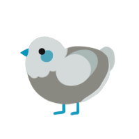 A ash and silver chicken with a head pattern