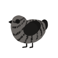 A grey and sable chicken with a bar pattern