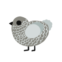 A ash and silver chicken with a lace pattern
