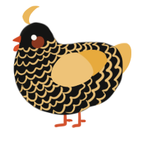 A black and honey chicken with a lace pattern