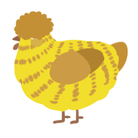 A yellow and gold chicken with a bar pattern