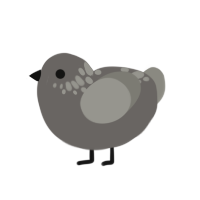 A grey and ash chicken with a neck-speckle pattern