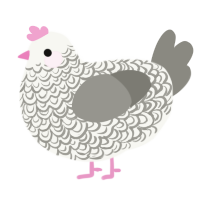 A white and ash chicken with a double-lace pattern