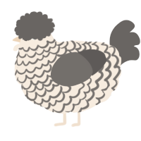 A cream and grey chicken with a lace pattern