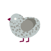 A silver and ash chicken with a speckle pattern