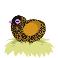 A black and ochre chicken with a double-lace pattern