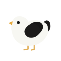 A white and sable chicken