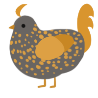 Gert, a grey and orange chicken with a speckle pattern