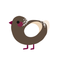 A bark and cream chicken with a neck-band pattern