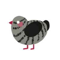 A ash and sable chicken with a bar pattern