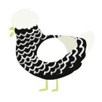 A black and white chicken with a lace pattern