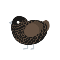 A sable and bark chicken with a lace pattern